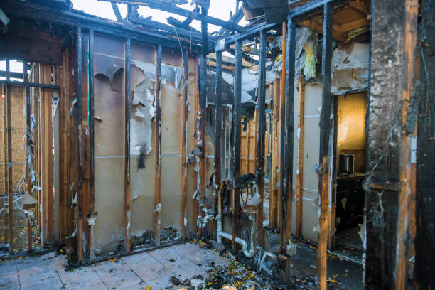 Professional Smoke Damage Removal technician working in Sun City Center, FL